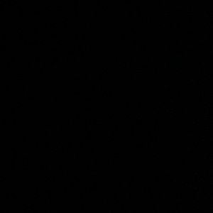 Meet your Posher, Nayeli